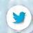 Twitter icon